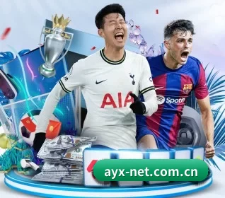 ayx-net.com.cn APP 界面